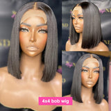 Double Drawn 250% Human Hair 4X4/13x4 Lace Wig Full End Straight Hair Bob Wig