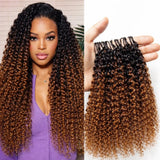 Soft Feather Crochet Braid Ombre Curly Human Hair Extensions