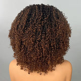 3 in 1 Curly Half Wig with Drawstring Ombre Kinky Curly Glueless Human Hair Wig