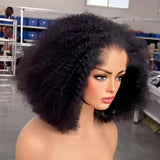 Lagos Hairline Afro Kinky Curly Wig 13x4|13x6 M Hairline Human Hair Lace Front Wig