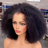 Lagos Hairline Afro Kinky Curly Wig 13x4|13x6 M Hairline Human Hair Lace Front Wig