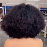 Lagos Hairline Afro Kinky Curly Wig 13x4|13x6 M Hairline Human Hair Lace Front Wig
