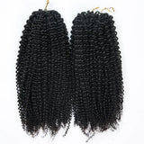 Soft Feather Crochet Braid Human Hair Extensions Afro Kinky Curls