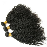 Burmese Kinky Curly Bundles High Quality Human Hair Wefts Weave Hair Extension