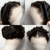 Full Lace Natural Hairline HD/Transparent Human Hair Lace Wig Highlight Burmese Curls with Coily Ends