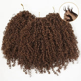 Soft Feather Crochet Braid Brown Kinky Curly Human Hair Extensions