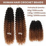 Soft Feather Crochet Braid Ombre Curly Human Hair Extensions
