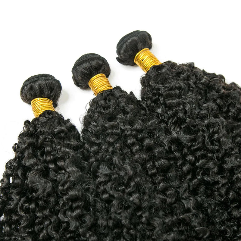 Burmese Kinky Curly Bundles High Quality Human Hair Wefts Weave Hair Extension