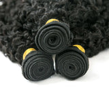 Burmese Kinky Curly Bundles High Quality Human Hair Wefts Weave Hair Extension