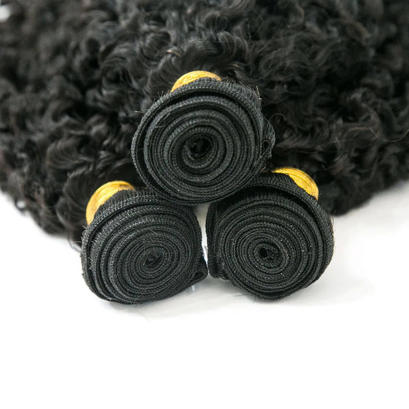 Burmese Kinky Curly Bundles High Quality Human Hair Wefts Weave Hair Extension