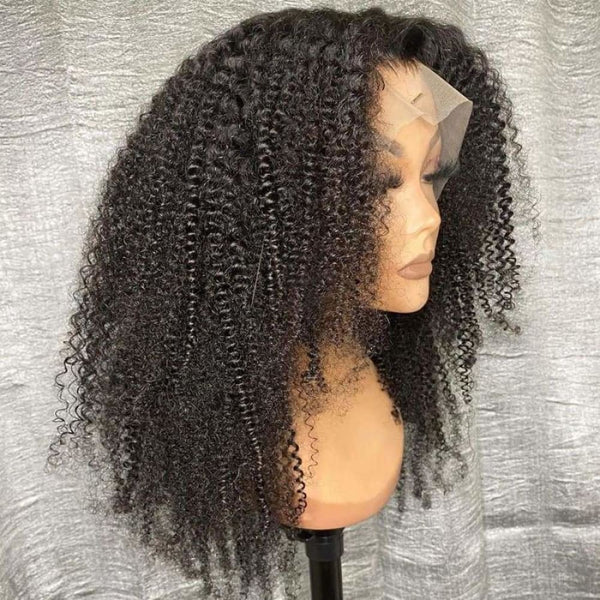 Aimee | PREPLUCKED VIRGIN HUMAN HAIR 360 LACE WIG | Afro Kinky Curly