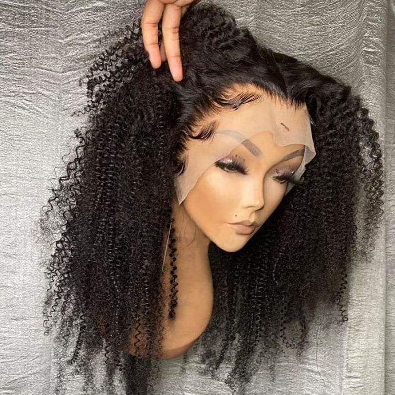 Aimee | PREPLUCKED VIRGIN HUMAN HAIR 360 LACE WIG | Afro Kinky Curly