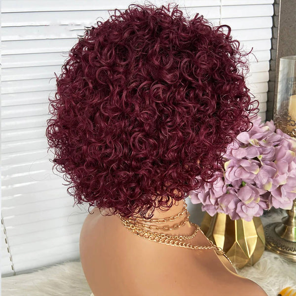 {50% Off End of Year Sale} Pix Cut Preplucked Virgin Human Hair Lace Front Wig